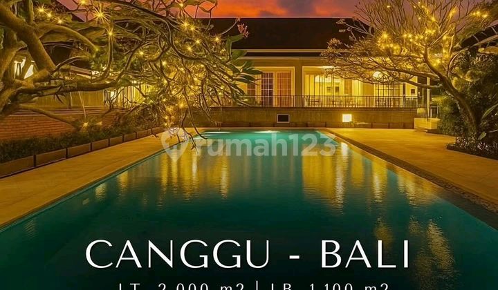 Canggu Bali Luxurious Villa Unfurnished View Sawah & Gunung