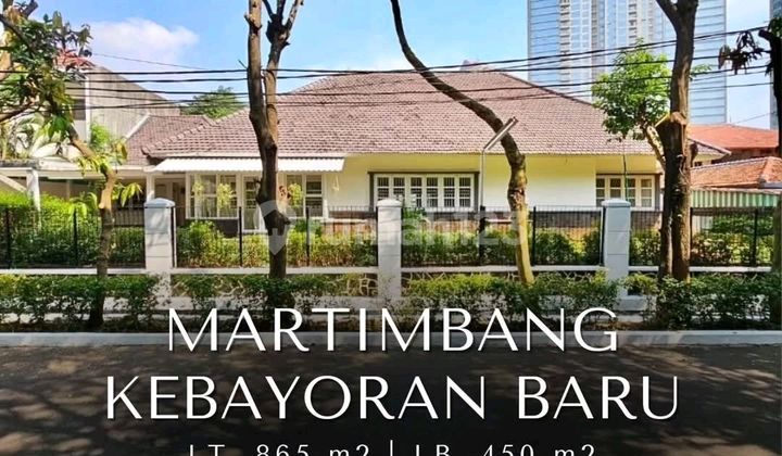 Martimbang Kebayoran Baru Vintage House in Front of Park Price Reduced