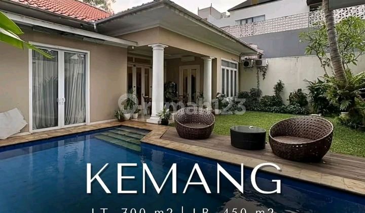 Kemang Dalam Beautiful Tropical House Premium Location Expat Area Kemang Dalam Beautiful Tropical House Premium Location Expat Area