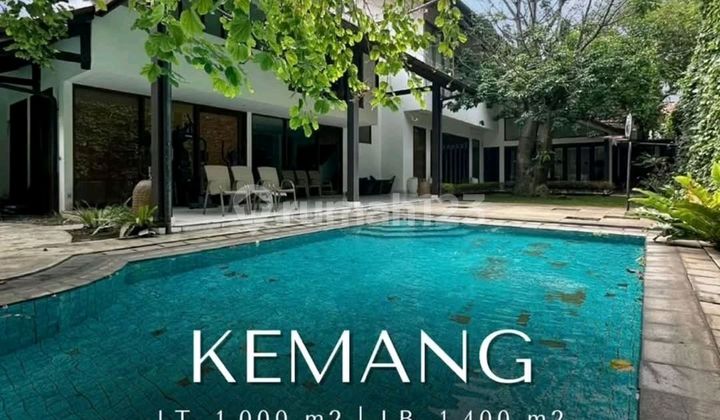 Kemang Ampera Rumah Mewah Siap Huni High Quality Wood & Marble Kemang Ampera Rumah Mewah Siap Huni High Quality Wood & Marble