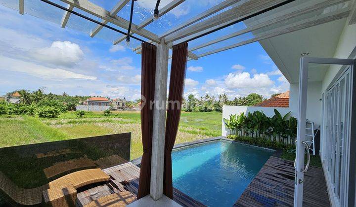 Dijual villa minimalis view sawah area ubud 1