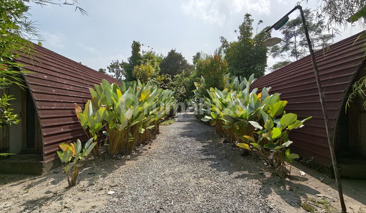 Large Land with Bonus Aesthetic Villa Building in Tembi Sewon