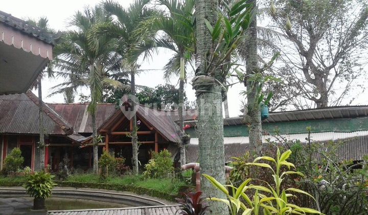 Resto dan pemancingan dengan view sawah di dekat Wisata Candi Borobudur Magelang 1