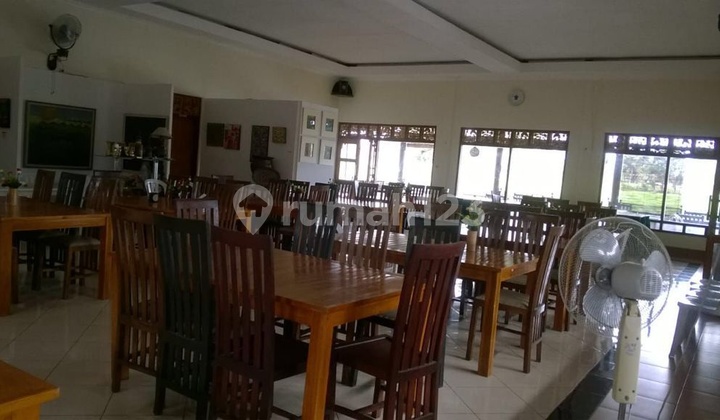 Resto dan pemancingan dengan view sawah di dekat Wisata Candi Borobudur Magelang 7