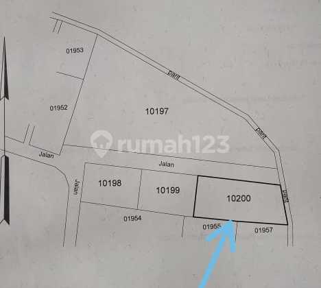 Tanah Pekarangan Murah Dekat Rm Kampung Flory Selatan Pemda  3