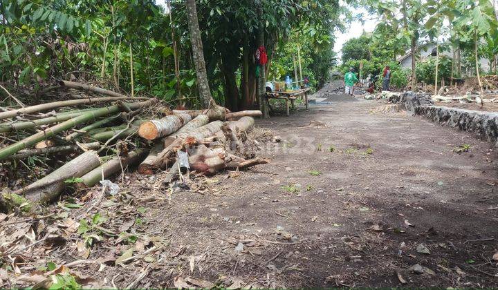 Tanah Pekarangan Murah Dekat Rm Kampung Flory Selatan Pemda  6