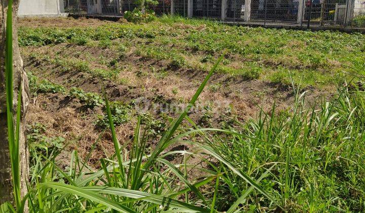 Tanah Pekarangan Strategis Dekat Kampus Ugm di Pandeyan Asri 7