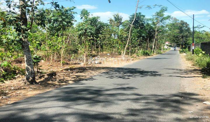 Dijual Cepat Tanah Pekarangan Prospek Bisnis DiTimur Polsek Mlati 1