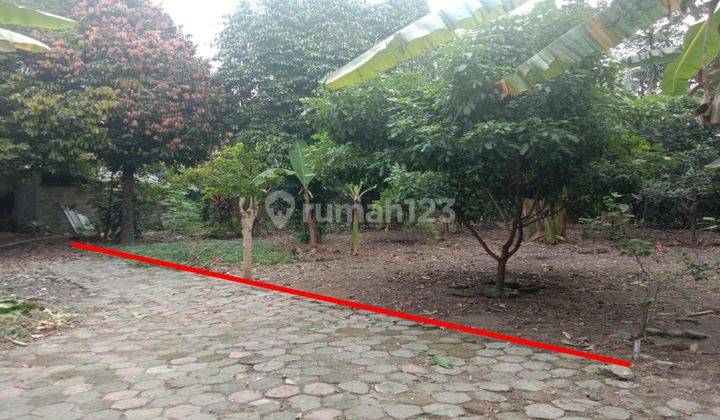 Dijual Tanah Murah Strategis Dekat Kebun Binatang Gembira Loka 2