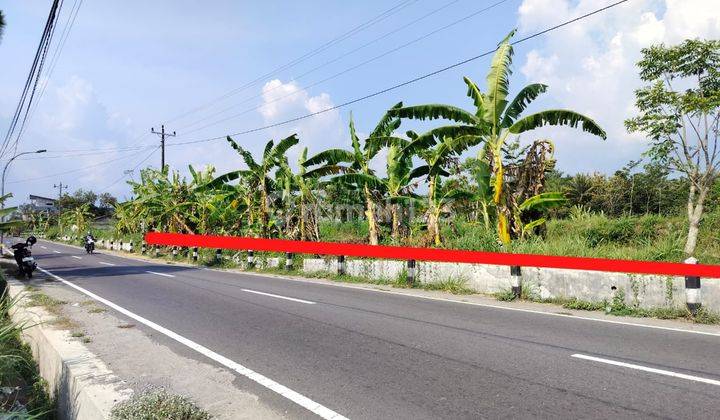 Dijual Tanah Luas View Sawah & Gn Merapi Dekat Sch Dan Jejamuran 2