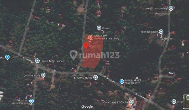 Dijual Tanah Luas Area Kulonprogo Cocok Utk Perkebunan Peternakan 1