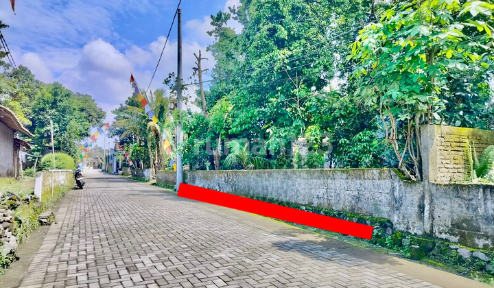 Yard Land Near Kebon Agung Tlogoadi Road