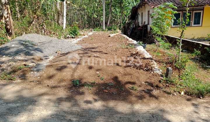 Dijual Tanah Luas Harga Murah Investasi Emas Area Kulonprogo