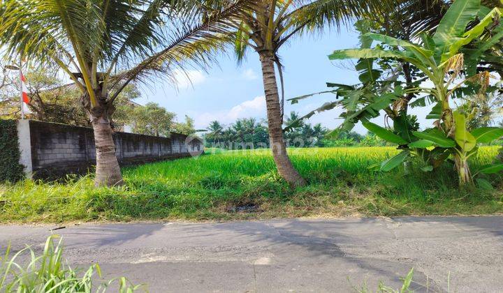 Dijual Tanah Strategis View Sawah Dan Gn Merapi Dekat Jejamuran 2