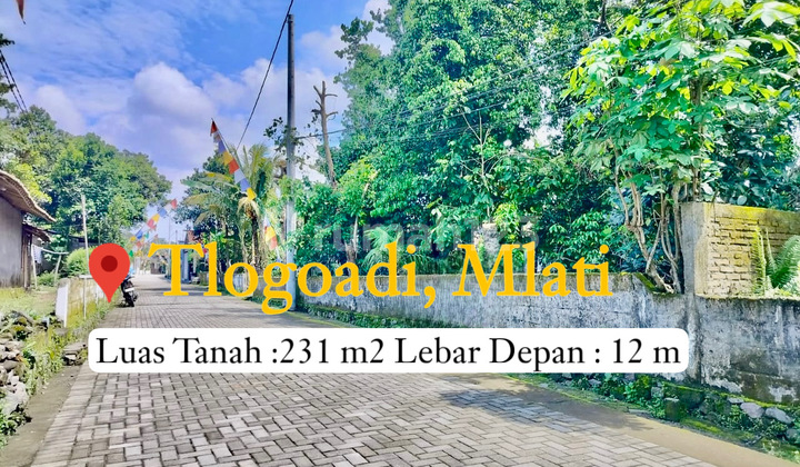 Yard Land Near Kebon Agung Tlogoadi Road