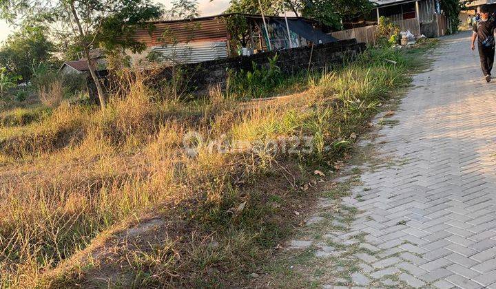 Dijual Cepat Tanah Sawah Harga Murah Dekat Pasar Rejodani Ngaglik 2