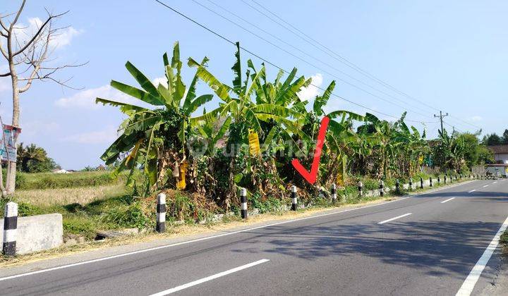 Dijual Tanah Luas View Sawah & Gn Merapi Dekat Sch Dan Jejamuran 1