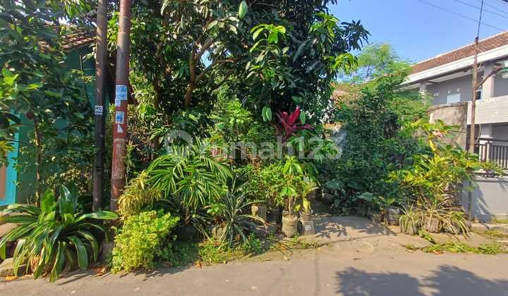Tanah Pekarangan Di Seputaran Kragilan Jalan Jambon Tanah Pekarangan Di Seputaran Kragilan Jalan Jambon
