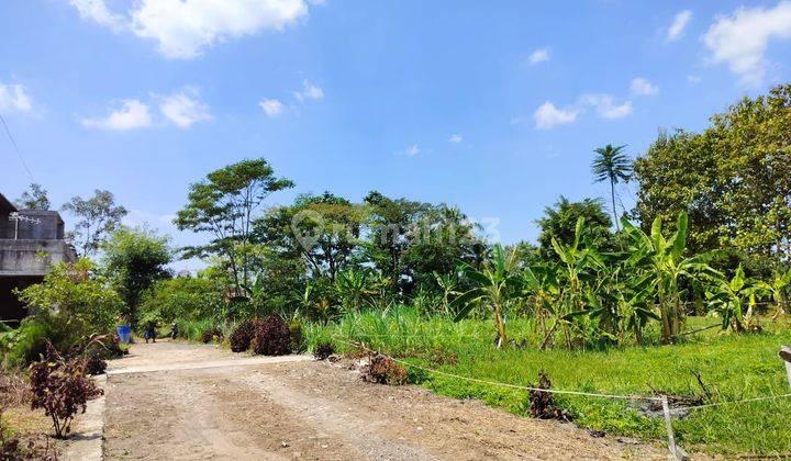 Dijual Tanah Strategis View Sawah Kawasan Jl Kaliurang-Palagan 2