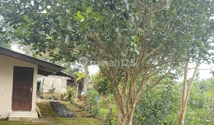 Dijual Villa Said Bogor 540 M Jual Dibawah Njop, Megamendung, Bogor, 007 2