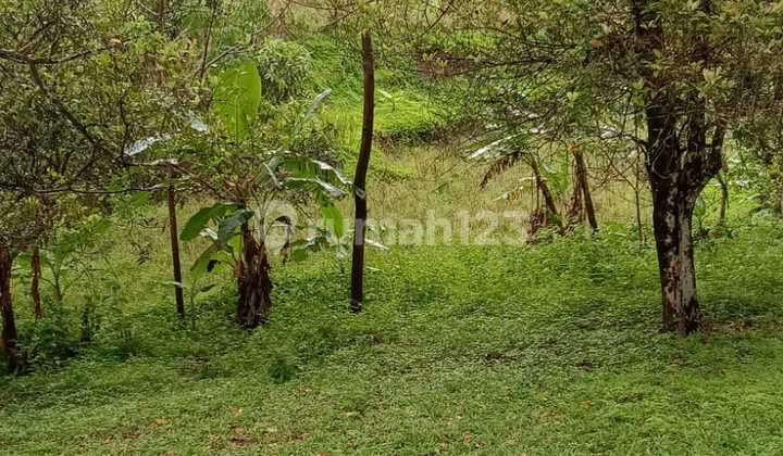 For Sale Tanah Kebun Pasir Angin Sukabumi For Sale Tanah Kebun Pasir Angin Sukabumi