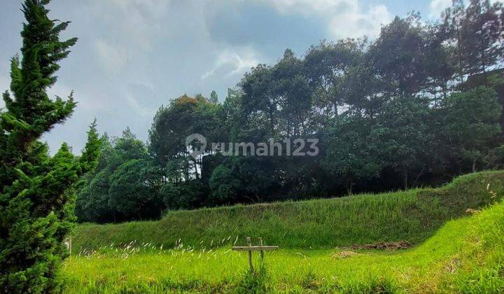 Dijual Tanah Kavling di Budi Indah Gardenia 2