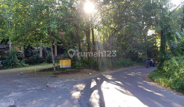 Dijual Tanah di Area Raya Ubud 2