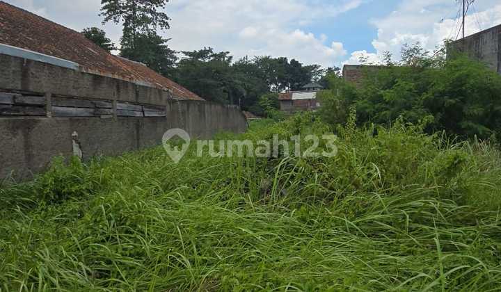 Disewakan Tanah Di Pusat Keramaian Rancaekek Disewakan Tanah Di Pusat Keramaian Rancaekek
