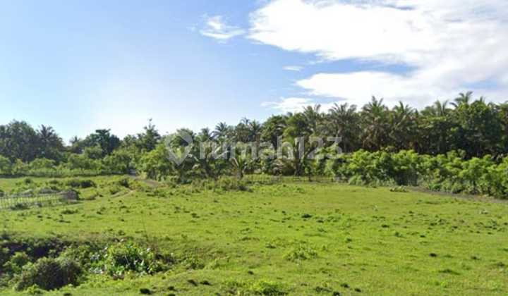 Dijual Tanah Kavling Di Pantai Ujung Genteng Sukabumi Dijual Tanah Kavling Di Pantai Ujung Genteng Sukabumi