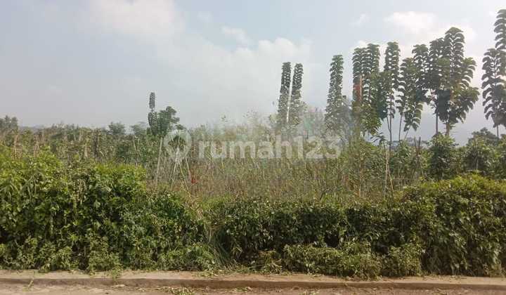 For Sale: Garden Land Location Garut
