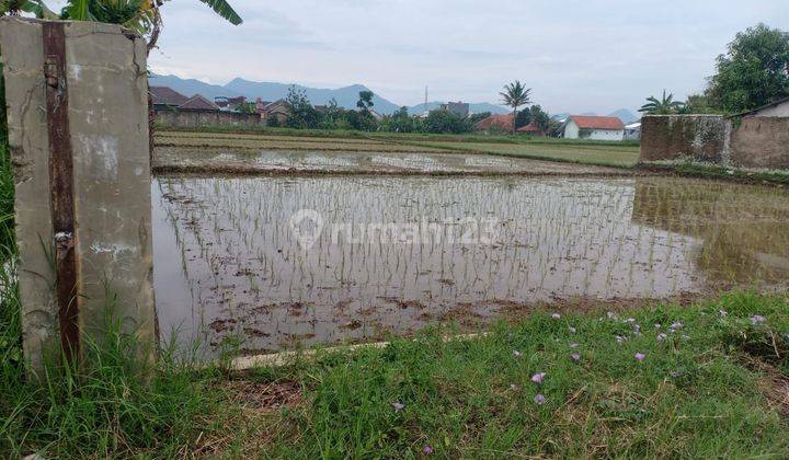 For Sale Tanah Sawah Gandasoli PLN Katapang Bandung  1