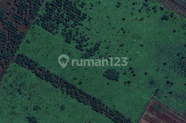 Tanah Strategis 9.998 m² di Rasau Jaya! Cocok untuk Investasi & Perkebunan Tanah Strategis 9.998 m² di Rasau Jaya! Cocok untuk Investasi & Perkebunan