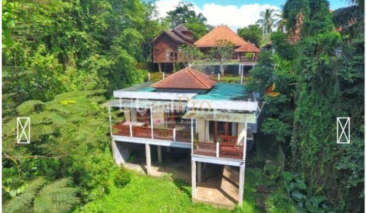 Jual Villa di Ubud Bali Dgn 3 Bangunan Villa 1