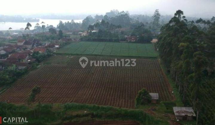 Kavling 6 Ha Cocok Untuk Vila, Hotel di Pangalengan, Bandung 1