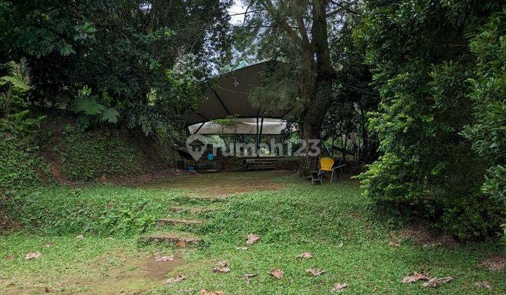 Tanah dipuncak bukit seluas 11ha di megamendung bogor 2