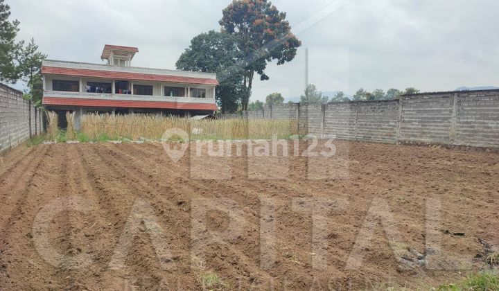 DIJUAL TANAH SHM DI MARIBAYA LEMBANG BANDUNG BARAT DIJUAL TANAH SHM DI MARIBAYA LEMBANG BANDUNG BARAT