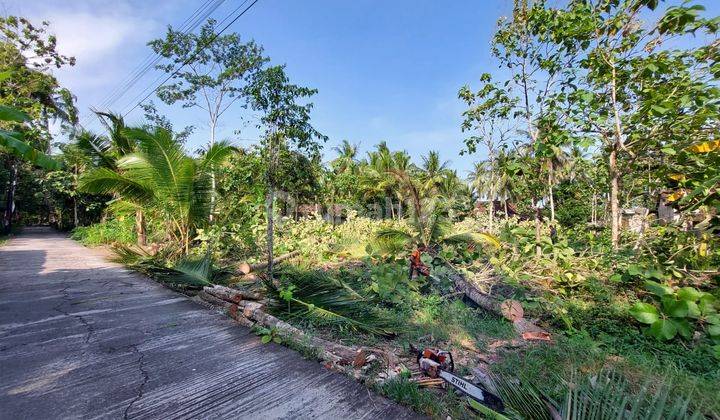Griya Pesona Triharjo Rumah Shm Di Wates Kulon Progo  6