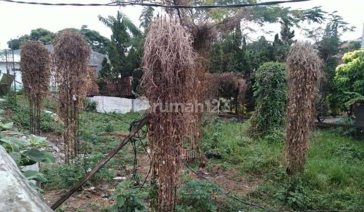 Tanah Murah Siap Bangun Tubagus Ismail Dago 4