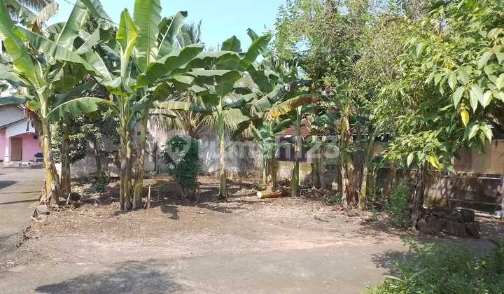 Good Land with Yard in Sidoluhur Godean