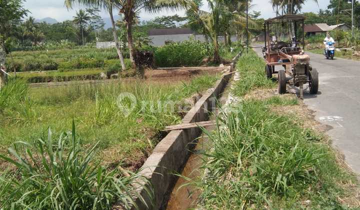 Tanah Murah Mangku Jl Boyong Hargobinangun Pakem Sleman