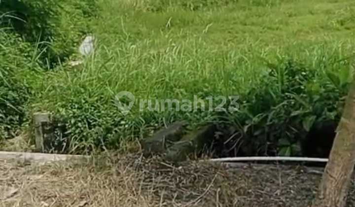 Land for Rent in Pakem Suitable for Agriculture or Business