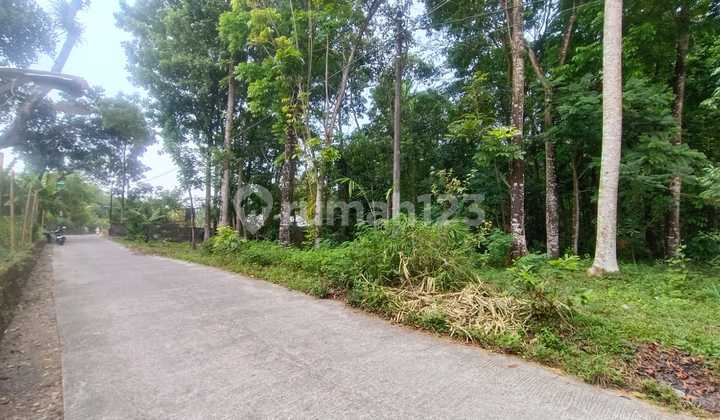 Tanah Pekarangan Cantik Dan Prospektif Di Sleman Utara Tanah Pekarangan Cantik Dan Prospektif Di Sleman Utara