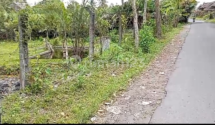 Tanah Hook Apik Bonus Kolam Ikan Di Turi Sleman