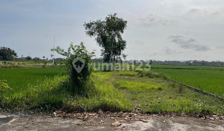 Tanah Pekarangan Dekat Bandara Yia Kulonprogo Tanah Pekarangan Dekat Bandara Yia Kulonprogo
