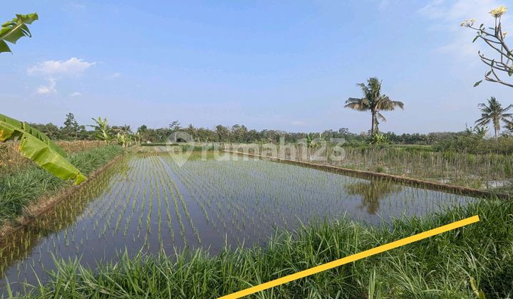 Tanah Bagus Dekat Obelix Pandowoharjo Sleman