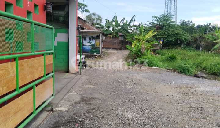 Jualkav Dekat Undip 2