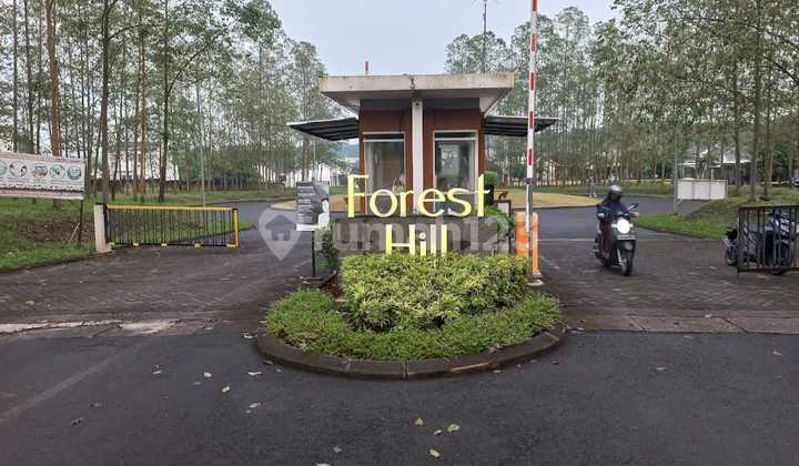 For Sale House In Forest Hill Bsb Mijen 2