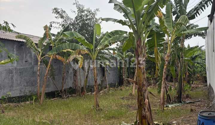 Jual Kav Murah di Purwomukti Barat Pedurungan 1