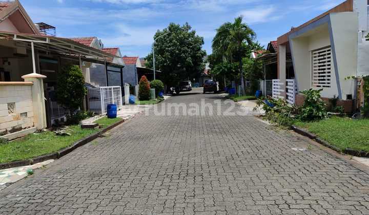 For Rent House In Graha Padma Krapyak