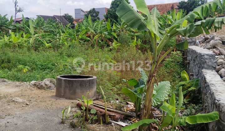 Jualkav Dekat Undip 1